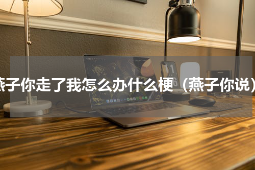 燕子你走了我怎么办什么梗（燕子你说）