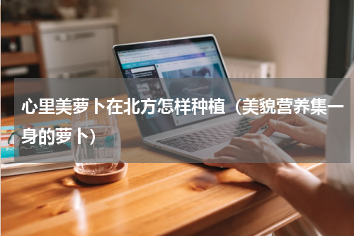 心里美萝卜在北方怎样种植（美貌营养集一身的萝卜）