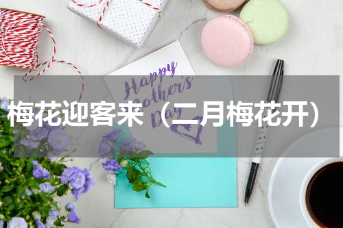梅花迎客来（二月梅花开）