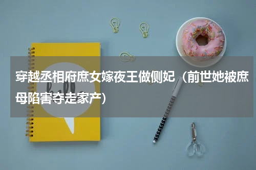 穿越丞相府庶女嫁夜王做侧妃（前世她被庶母陷害夺走家产）