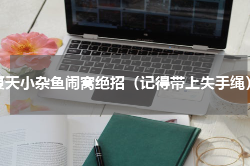 夏天小杂鱼闹窝绝招（记得带上失手绳）