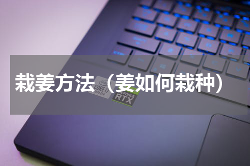 栽姜方法（姜如何栽种）