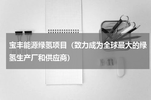 宝丰能源绿氢项目（致力成为全球最大的绿氢生产厂和供应商）