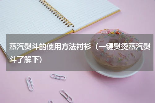 蒸汽熨斗的使用方法衬衫（一键熨烫蒸汽熨斗了解下）