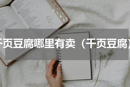 千页豆腐哪里有卖（千页豆腐）
