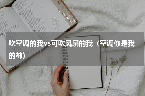 吹空调的我vs可吹风扇的我（空调你是我的神）