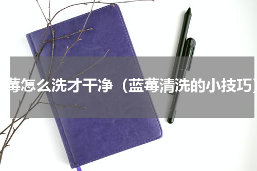 蓝莓怎么洗才干净（蓝莓清洗的小技巧）