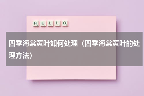 四季海棠黄叶如何处理（四季海棠黄叶的处理方法）