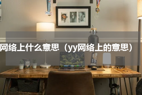 yy网络上什么意思（yy网络上的意思）