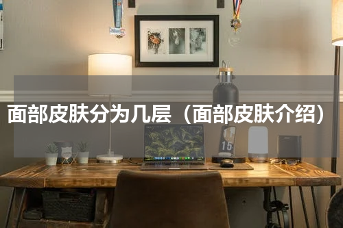 面部皮肤分为几层（面部皮肤介绍）
