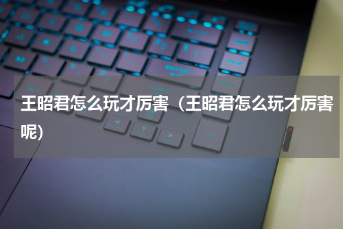 王昭君怎么玩才厉害（王昭君怎么玩才厉害呢）