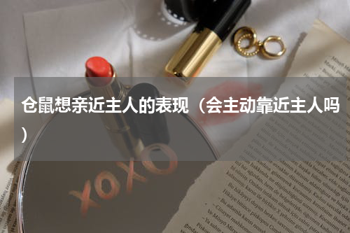 仓鼠想亲近主人的表现（会主动靠近主人吗）