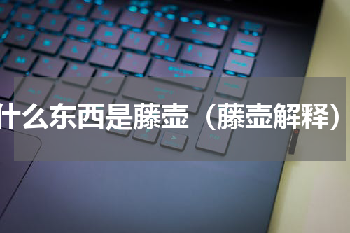 什么东西是藤壶（藤壶解释）