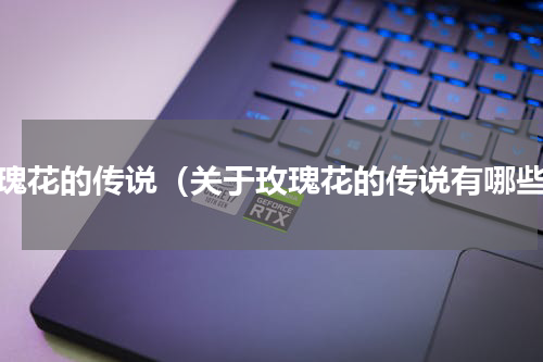 玫瑰花的传说（关于玫瑰花的传说有哪些）