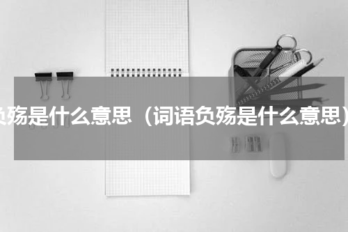 负殇是什么意思（词语负殇是什么意思）