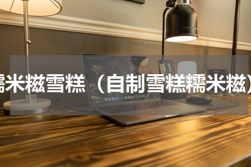 糯米糍雪糕（自制雪糕糯米糍）