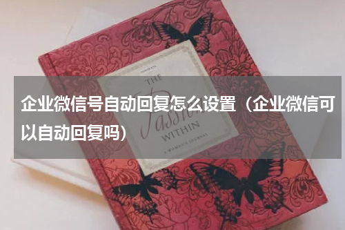 企业微信号自动回复怎么设置（企业微信可以自动回复吗）