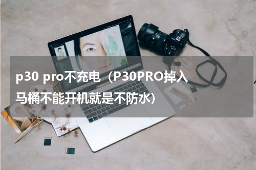 p30 pro不充电（P30PRO掉入马桶不能开机就是不防水）