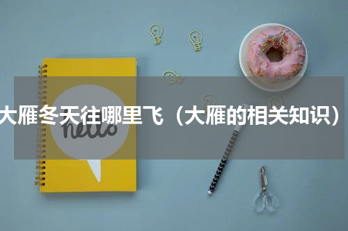 大雁冬天往哪里飞（大雁的相关知识）
