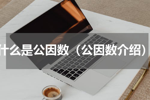 什么是公因数（公因数介绍）