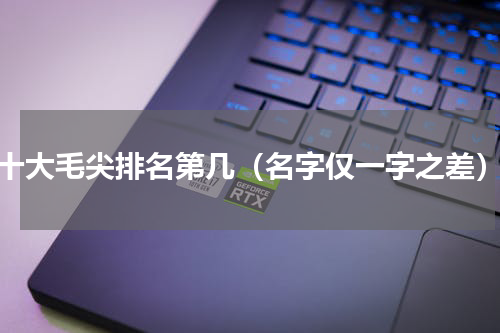 十大毛尖排名第几（名字仅一字之差）