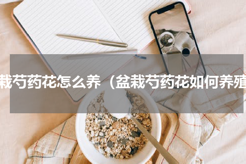 盆栽芍药花怎么养（盆栽芍药花如何养殖）