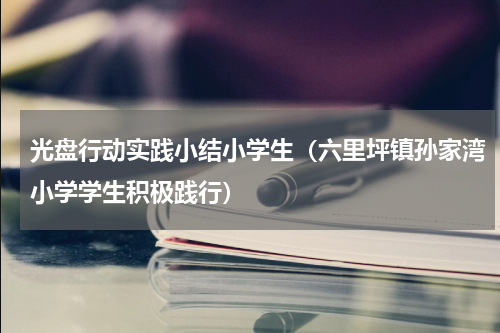 光盘行动实践小结小学生（六里坪镇孙家湾小学学生积极践行）