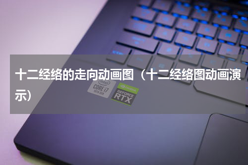 十二经络的走向动画图（十二经络图动画演示）