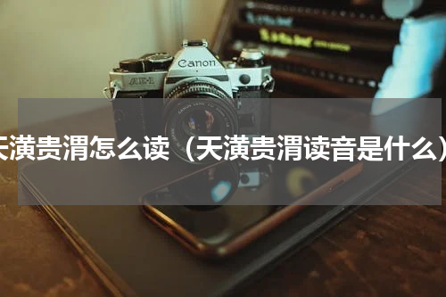 天潢贵渭怎么读（天潢贵渭读音是什么）