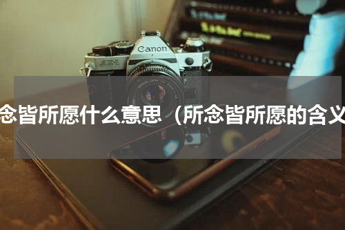 所念皆所愿什么意思（所念皆所愿的含义）