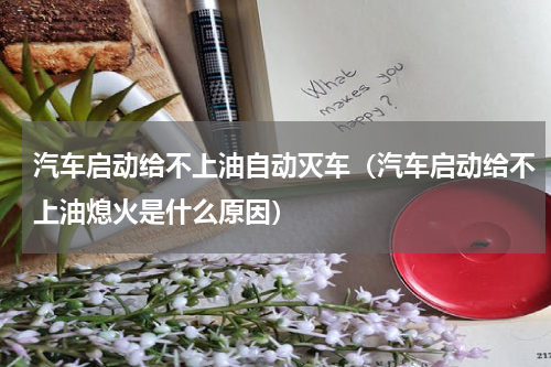 汽车启动给不上油自动灭车（汽车启动给不上油熄火是什么原因）