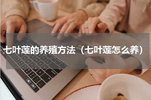 七叶莲的养殖方法（七叶莲怎么养）