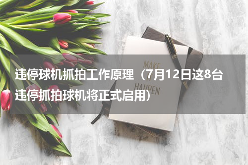 违停球机抓拍工作原理（7月12日这8台违停抓拍球机将正式启用）