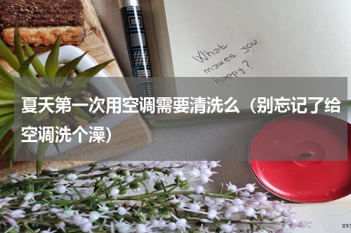夏天第一次用空调需要清洗么（别忘记了给空调洗个澡）