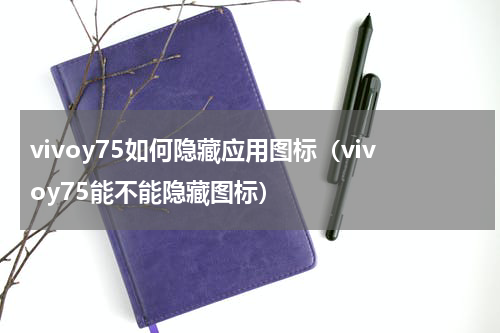 vivoy75如何隐藏应用图标（vivoy75能不能隐藏图标）