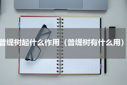 普缇树起什么作用（普缇树有什么用）