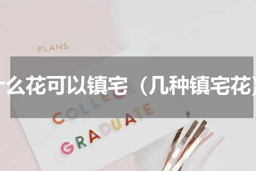 什么花可以镇宅（几种镇宅花）