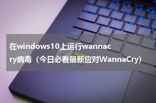 在windows10上运行wannacry病毒（今日必看最新应对WannaCry）