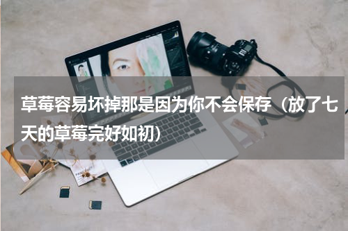 草莓容易坏掉那是因为你不会保存（放了七天的草莓完好如初）