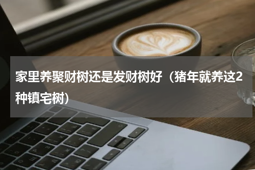 家里养聚财树还是发财树好（猪年就养这2种镇宅树）