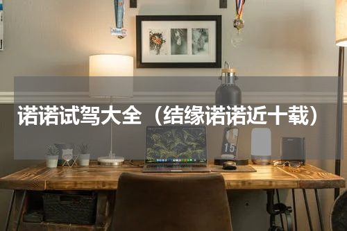 诺诺试驾大全（结缘诺诺近十载）