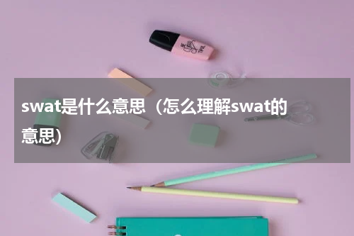 swat是什么意思（怎么理解swat的意思）