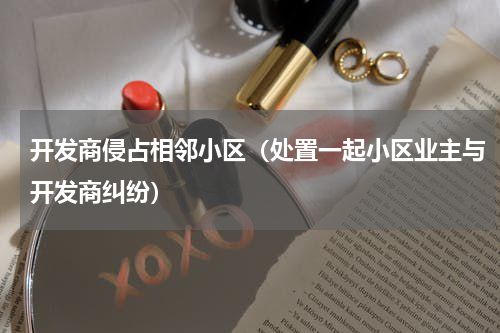 开发商侵占相邻小区（处置一起小区业主与开发商纠纷）