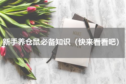 新手养仓鼠必备知识（快来看看吧）