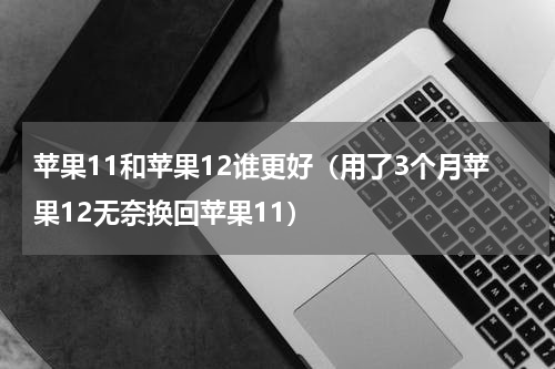 苹果11和苹果12谁更好（用了3个月苹果12无奈换回苹果11）