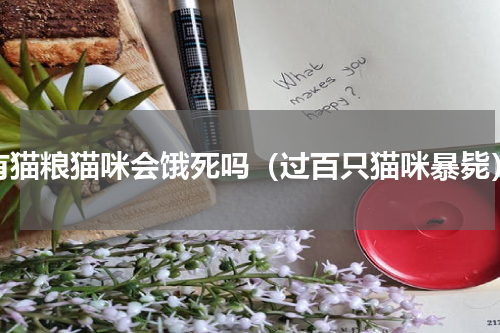 有猫粮猫咪会饿死吗（过百只猫咪暴毙）