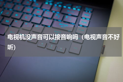 电视机没声音可以接音响吗（电视声音不好听）