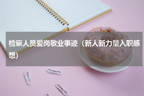 检察人员爱岗敬业事迹（新人新力量入职感想）