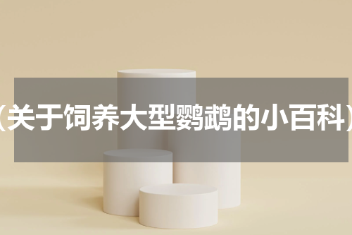 （关于饲养大型鹦鹉的小百科）