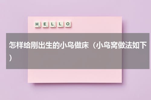 怎样给刚出生的小鸟做床（小鸟窝做法如下）